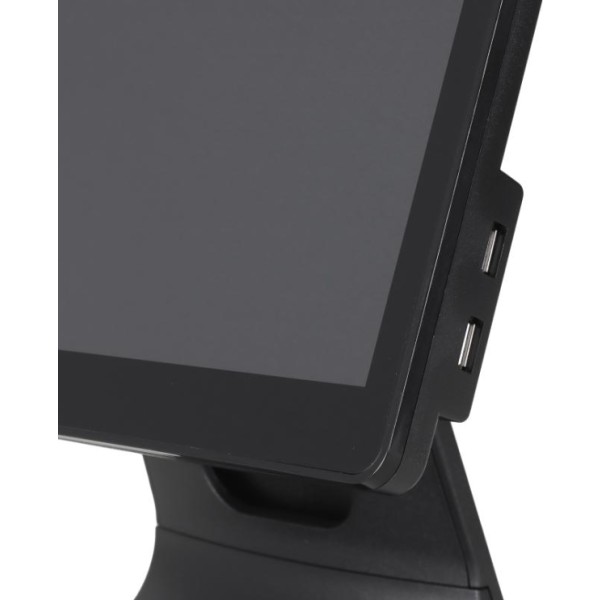Iggual tpv 15,6" n100 8+256gb w11pro + software